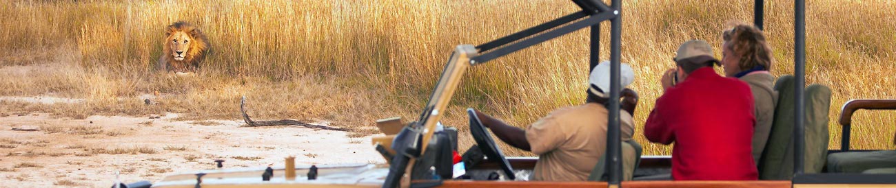 Authentic Safari & Beach Escape